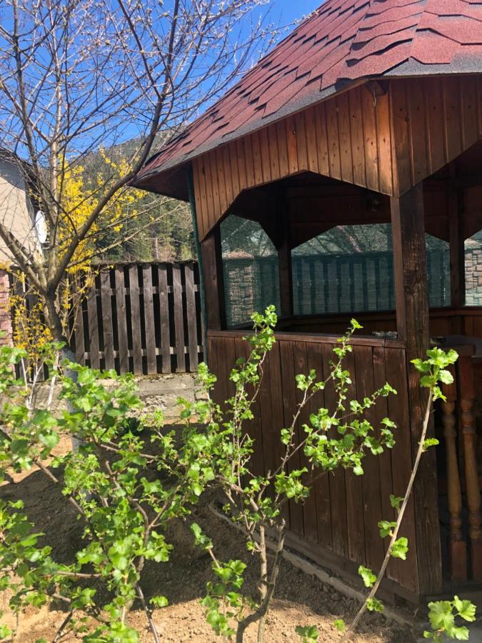Садиба Диво Квітка 塔塔里夫 外观 照片