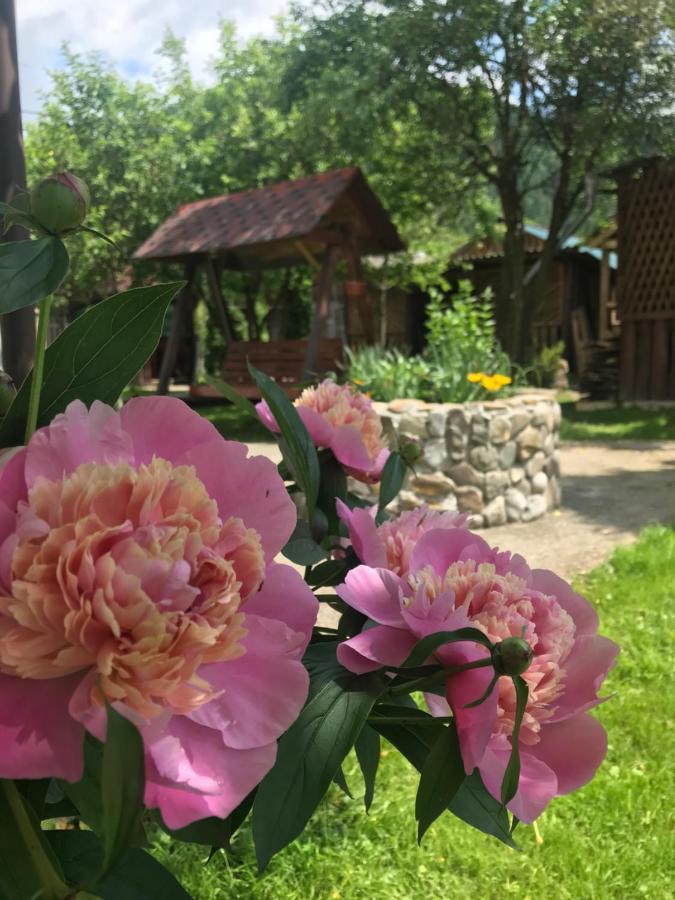Садиба Диво Квітка 塔塔里夫 外观 照片